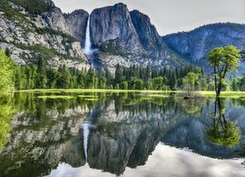 Yosemite National Park Retreats & Trips