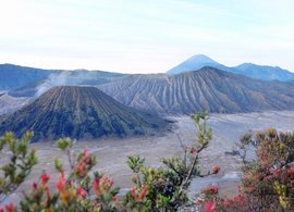 Java Retreats & Trips