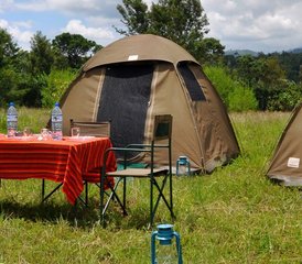 6 Tage Big Five Safari im Norden Tansanias - Photo 3