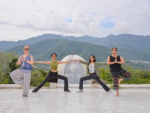 6 jours en retraite de méditation et yoga Kayakalp à Rishikesh, Inde
