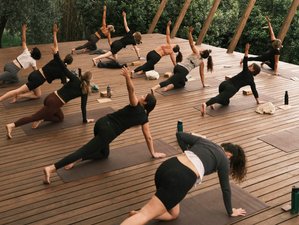 7 Day 50-Hour Yoga Teacher Training near Rome, Italy