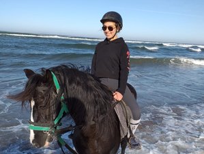 8 Day Horse Riding Vacation with Yoga Stretching in an Oceanfront Riad, Agadir, Morocco
