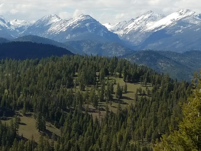 3 Day Private Wilderness Snowmobile or ATV Guided Tour in Darby, Montana photo 8