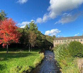 33 días de retiro de yoga y bienestar: nutre tu alma, conecta con la naturaleza en Peak District, Reino Unido - Photo 1
