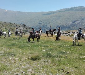 5-Daagse Poqueira korte bergpaardrijvakantie in Alpujarra Granadina, Granada, Spanje - Photo 5