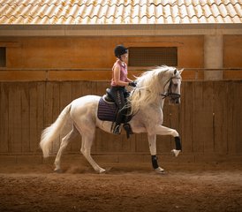 8 Tage Reiturlaub mit Zentrum Reiten in Mallorca, Spanien - Photo 4