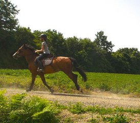 8-Daagse Brigands Path betoverende Italiaanse plattelands-paardrijtocht met hacks en volledige dag, Toscane, Italië - Photo 3