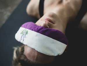 2 Day 10-Hour Online Yoga Nidra Certificate Training Course