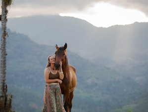 7 Day Horse Connection, Liberty and Yoga Retreat in Cartago, Costa Rica