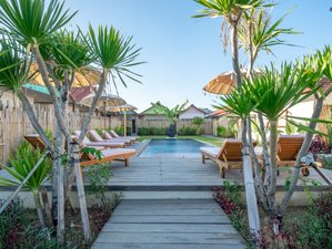 21-daagse (200 uur) docentenopleiding Traditionele Hatha, Hatha Flow & Vinyasa Yoga op Bali, Indonesië
