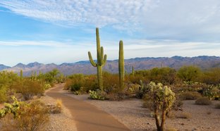 Arizona Retraites et Voyages