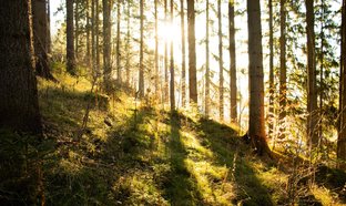 Styria Retraites en Reizen