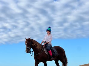 3 Day Horseback Riding Tour: Beaches and Argan in Essaouira, Morocco