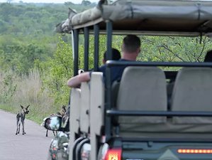 2 Day Camping Safari at Kruger National Park Safari
