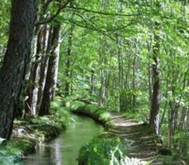 3 jours en week-end de yoga et nature, "Retour à la source" à Annot (04), France - Photo 3