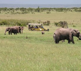 1110 días de safari desde el lago hasta el océano en Kenia - Photo 1