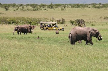 10 Tage Vom See zum Meer Safari in Kenia