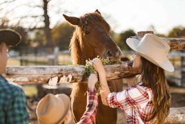 Ranch Urlaube Retreats und Reisen