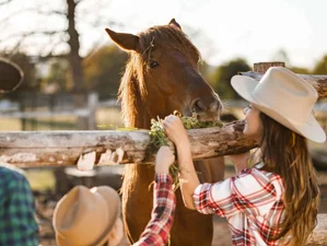 Séjours ranch Retraites et Voyages