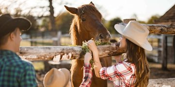 Ranch Vakanties Retraites en Reizen