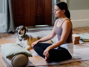 8 Tage 50-Stunden Restorative Yogalehrer Ausbildung in Douro Valley, Portugal