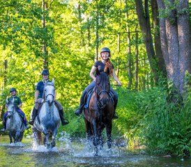 7 Day Awe-Inspiring Horse Riding Holiday in Galiny, Gmina Bartoszyce, Poland - Photo 3