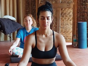 27 Day 200-Hour Multi-Style Yoga & Thai Yoga Massage Dual TTC Goa, India
