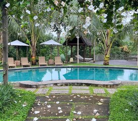 4 Day Silence Retreat in Bali, Indonesia - Photo 4