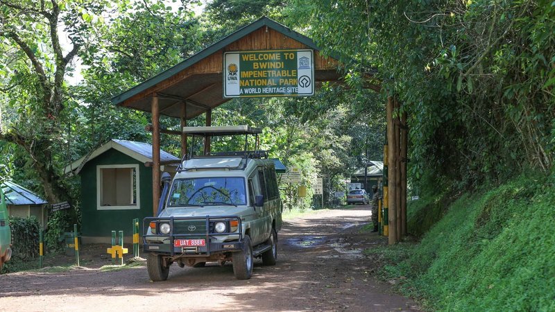 3 Day Gorilla Trek and Cultural Trip in Kigali, Uganda