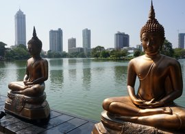 Colombo Retreats & Trips