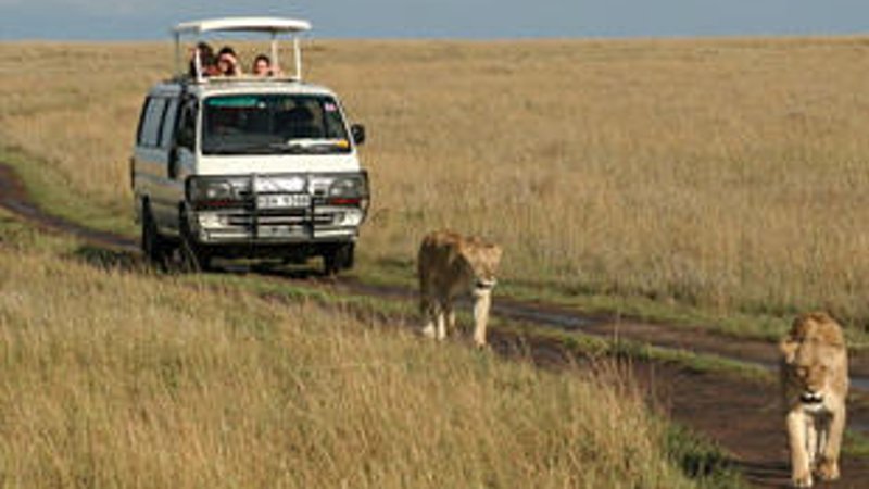 4 Days Mid range lodge  Safari in Maasai Mara and Lake Nakuru 