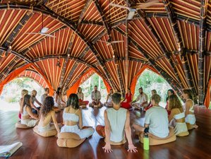 29 Tage 200-Stunden Yogalehrer Ausbildung in Ubud, Bali