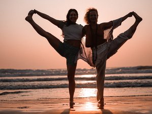 13 Day 100-Hour Hatha Yoga Teacher Training Course in Goa, India