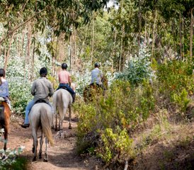 4 Day Intermediate Trail Horse Riding Holiday in Alentejo, Portugal - Photo 2