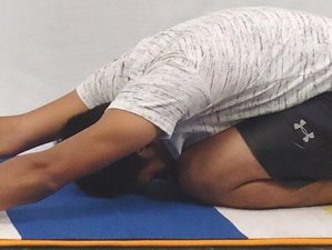 300-Hour Online Diploma in Yoga Therapist + Medittaion + Yoga Nidra + Anatomy Physiology TTC