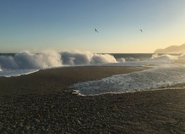 Calahonda Retreats & Trips