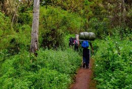 9 Day Kilimanjaro Hiking Tour Via Umbwe Route in Tanzania
