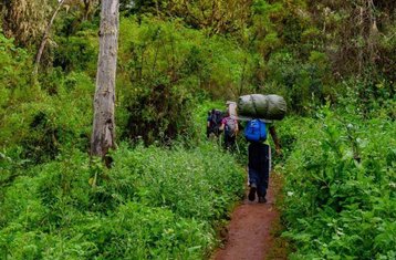 9-Daagse Kilimanjaro-Wandeltocht via de Umbwe-Route in Tanzania