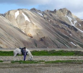 7 Day Spectacular Volcanic Area Landmannalaugar and Mount Hekla Horse Riding Tour in Iceland - Photo 3