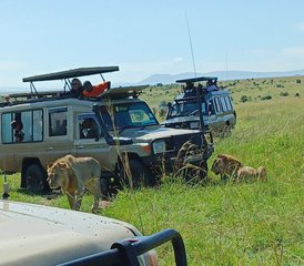 6 Day Budget Group Safari in Kenya: Masai Mara, Lake Nakuru, and Amboseli National Parks - Photo 2