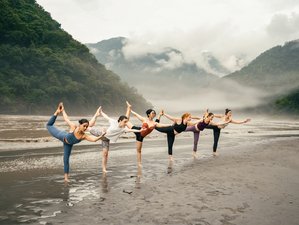 24 jours en formation de professeur de yoga 200h immersive en Inde – intégration corps, esprit et âme