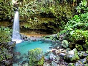 8 Day Renew and Rejoice Yoga Retreat in Soufriere on the Island of Dominica, West Indies