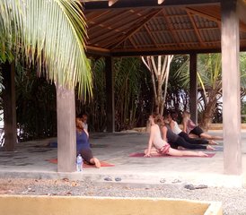 21-Daagse Ayurvedische Holistische Genezings Retreat in Bentota, Southern Province, Sri Lanka - Photo 4