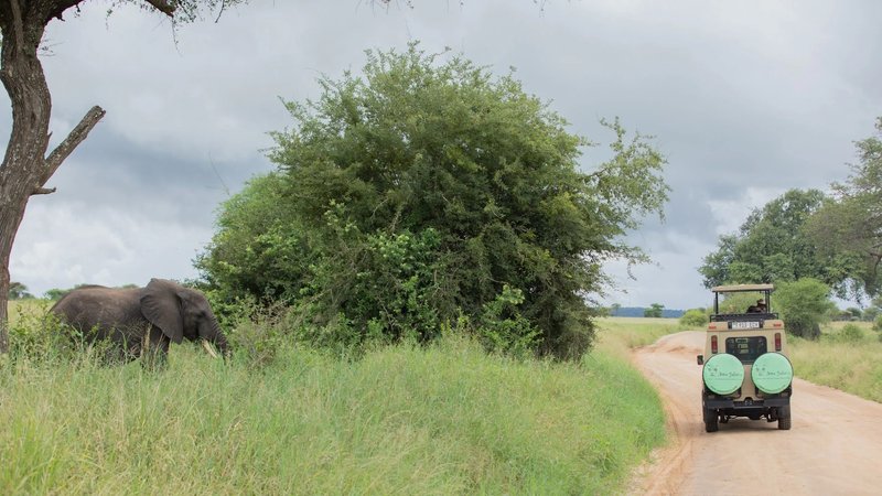 11 Day Tanzania Safari Adventure and Zanzibar Beach Holiday