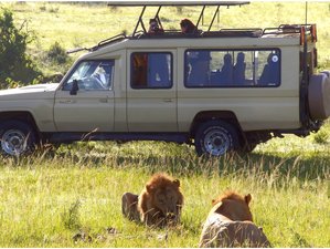 10 Day Combo Budget Safari in Kenya and Tanzania