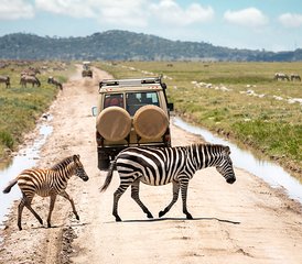 6 Days Tarangire, Serengeti, Ngorongoro Crater and Lake Manyara Safari in Tanzania - Photo 4