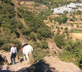 8-Daagse Paardrijvakantie in La Contraviesa, Andalusië, Spanje - Photo 5