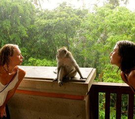 8 Jour Retraite de Bien-être et de Yoga pour Femmes à Bali, en Indonésie - Photo 4