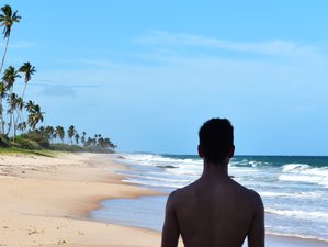 14 Day Burnout Recovery and Energy Retreat with Ayahuasca Experience in Salvador Bahia, Brazil 