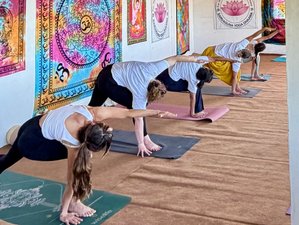 25-Daagse 200-Uur Multi-Stijl Yoga Docentenopleiding in Dharamshala, India